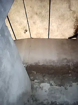 monster 33 online show from 10-24-25, 12:15