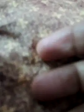 BeautyGirl sara online show from 02-14-26, 09:42