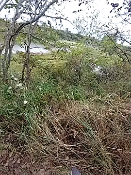 Snapshot of slaveman4you chatting on 09-18-25, 12:41 slaveman4you online show from 09-18-25, 12:41