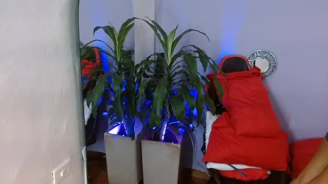 ivy scorpio online show from 10-15-25, 05:50