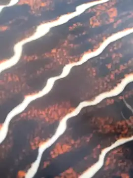 Idhika Handoo online show from 02-13-26, 11:54