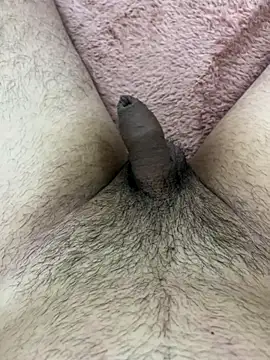 Snapshot of Felipemoreno37 chatting on 11-17-25, 05:00 Felipemoreno37 online show from 11-17-25, 05:00