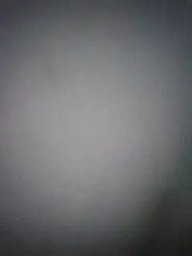 Perropa online show from 03-27-26, 03:37