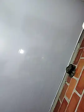 Perropa online show from 02-27-26, 01:17