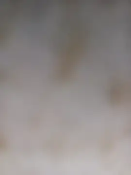 Snapshot of Payal950 chatting on 10-05-25, 12:56 Payal950 online show from 10-05-25, 12:56