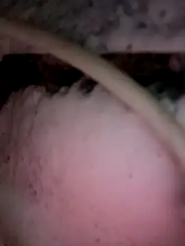 Snapshot of Payal950 chatting on 12-03-25, 12:01 Payal950 online show from 12-03-25, 12:01