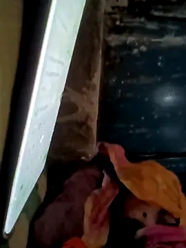 Snapshot of Payal950 chatting on 11-16-25, 01:43 Payal950 online show from 11-16-25, 01:43