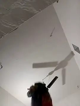 Payal950 online show from 02-09-26, 10:52