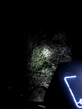 MODEST11 MMiILOO AMARO online show from 11-18-25, 05:33