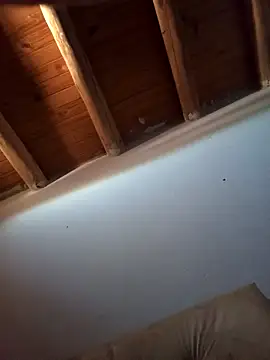 Rodriexequiel online show from 11-15-25, 02:21