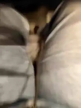 TaraWild online show from 09-16-25, 04:30