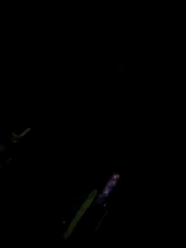 TSPRAJ0 online show from 11-15-25, 05:17