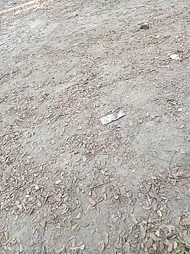 Dasdhon online show from 11-18-25, 10:18