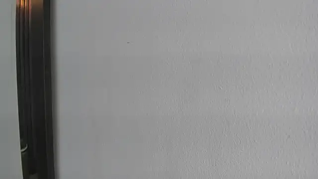 roxana santini online show from 11-04-25, 03:16