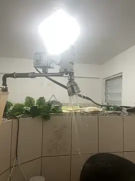 YadielPublic online show from 04-10-26, 12:50