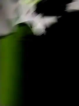 Snapshot of danigarci2307 chatting on 10-21-25, 10:31 danigarci2307 online show from 10-21-25, 10:31