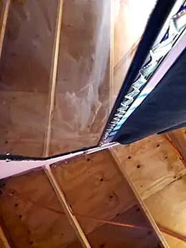 Eljilipoyas69 online show from 12-02-25, 04:58