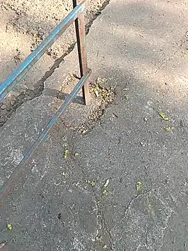 Mr xxx007xh online show from 03-24-26, 09:53