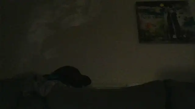 Snapshot of branletteur chatting on 10-06-25, 07:53 branletteur online show from 10-06-25, 07:53