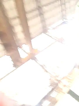 Snapshot of xyz-indian chatting on 10-11-25, 03:51 xyz-indian online show from 10-11-25, 03:51