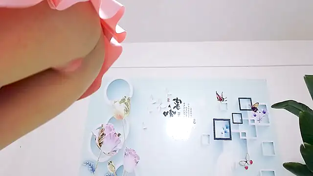 Tianxin6 online show from 12-05-25, 12:32