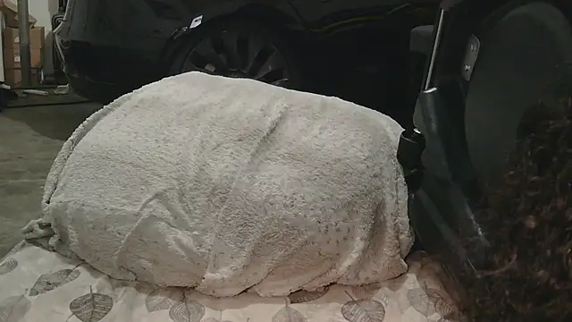 Gmajor online show from 12-15-25, 01:33