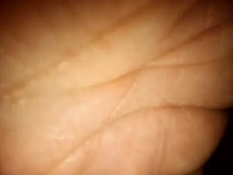 Snapshot of MikeMister chatting on 04-07-26, 06:48 MikeMister online show from 04-07-26, 06:48