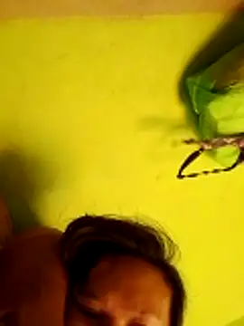 pussywet 08 online show from 05-31-26, 11:16