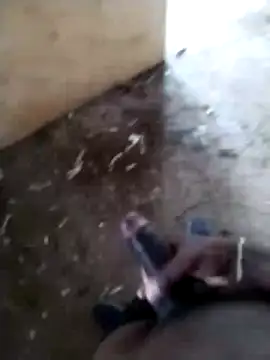 SK 21 online show from 02-24-26, 08:48