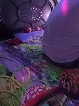 payal 261072  online show from 10-27-25, 07:53