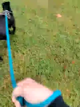 Unknownstepbrother online show from 10-05-25, 07:59