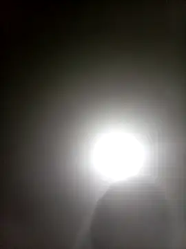 Bebicho14 online show from 04-05-26, 04:41