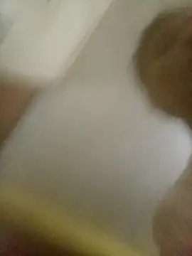 Bebicho14 online show from 02-08-26, 06:22