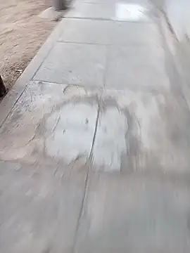 Bebicho14 online show from 02-12-26, 11:10