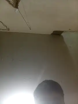 Bebicho14 online show from 03-18-26, 08:39