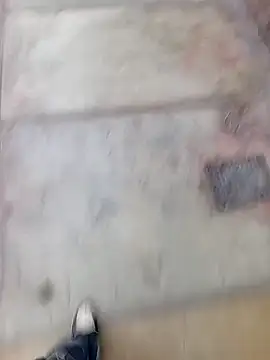 Bebicho14 online show from 02-11-26, 11:21