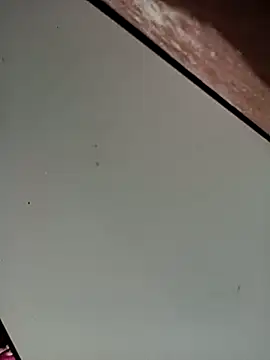 Bebicho14 online show from 11-16-25, 05:23