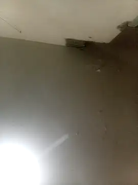 Bebicho14 online show from 09-16-25, 05:19