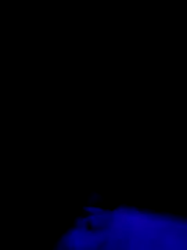 Jbames4567 online show from 09-21-25, 01:22