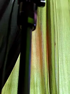 chocolate alone online show from 11-10-25, 06:51