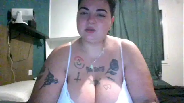 PirateXL online show from 05-19-26, 11:56