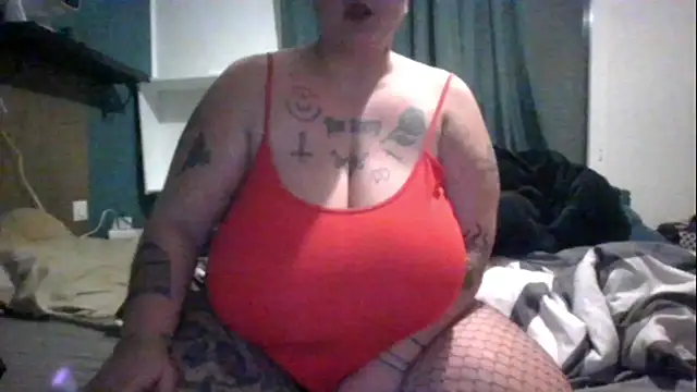 PirateXL online show from 03-05-26, 11:32