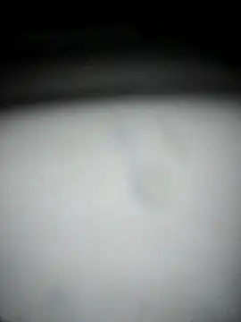 hana9998 online show from 09-11-25, 12:54