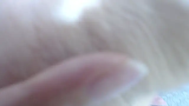 karla lopes online show from 12-14-25, 12:55