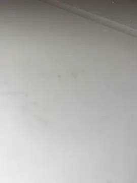 Bandidasexy22 online show from 10-24-25, 02:27