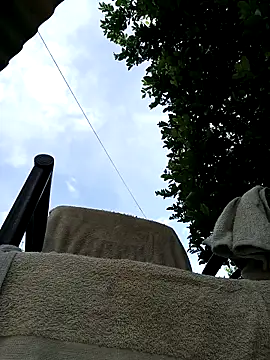 AlphaAlterX online show from 03-08-26, 08:12