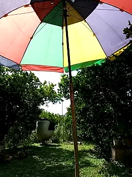 AlphaAlterX online show from 02-17-26, 07:22