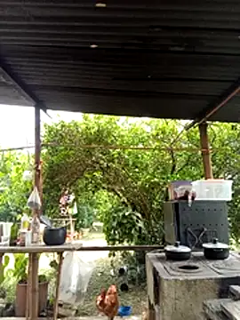 AlphaAlterX online show from 03-11-26, 06:13