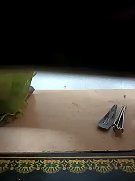 Sona 42i online show from 10-31-25, 03:41