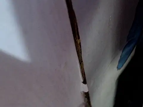 MissfrancesXxx online show from 03-07-26, 11:38